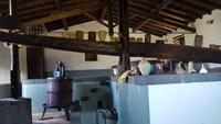 Borgo San Nicolao