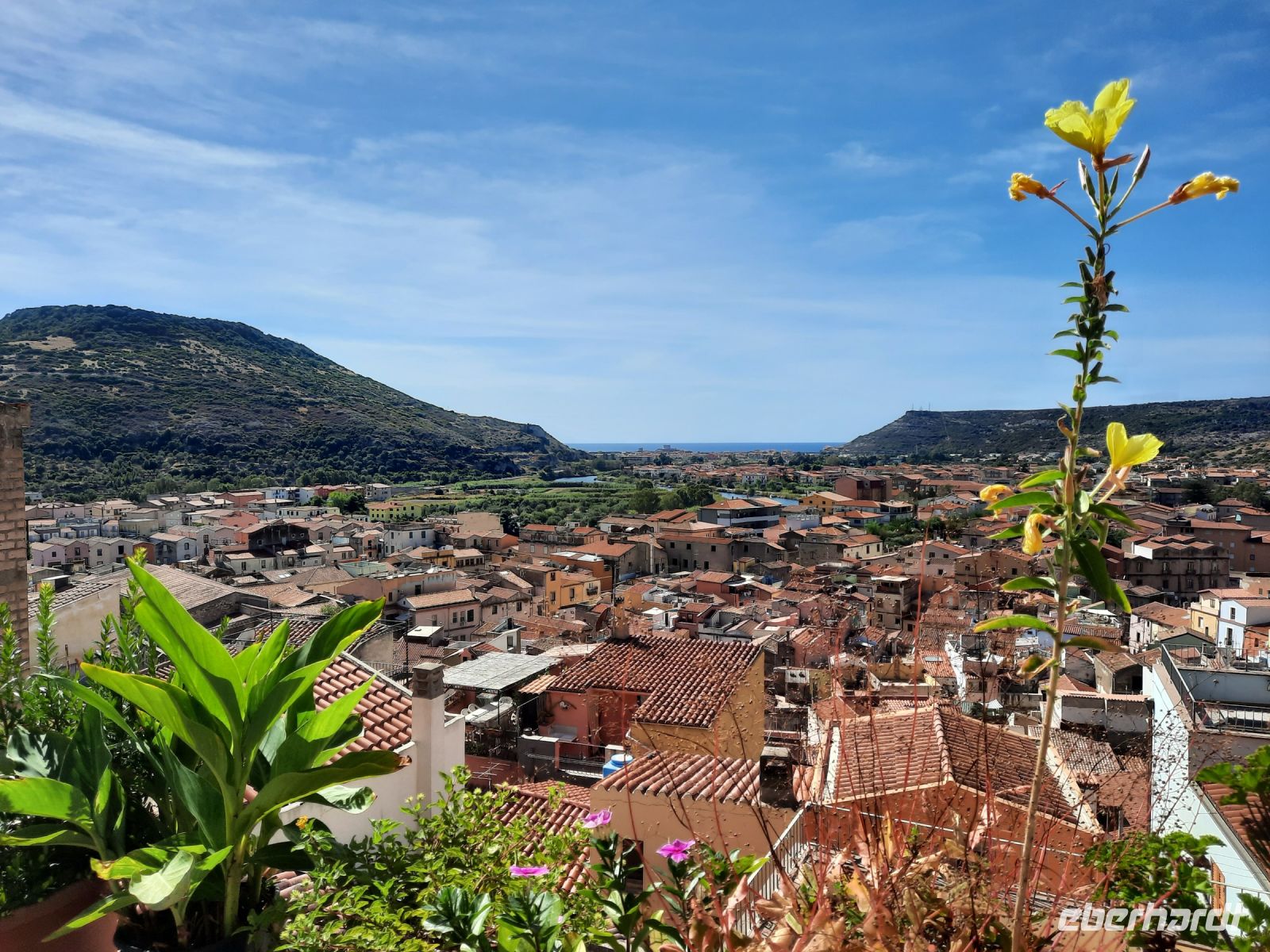 Bosa