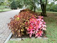 Botanische Gärten der Villa Taranto in Intra