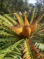 Botanischer Garten