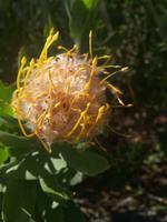 Botanischer Garten