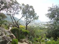 Botanischer_Garten