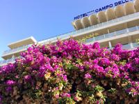 Bougenvillea vor unserem Hotel