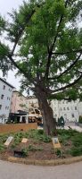 Bozen