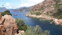 Calanche (Porto)