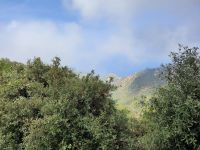 Calanche 