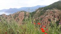 Calanche