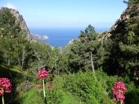 Calanche