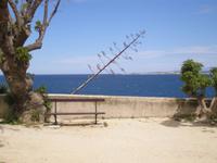 Calvi 