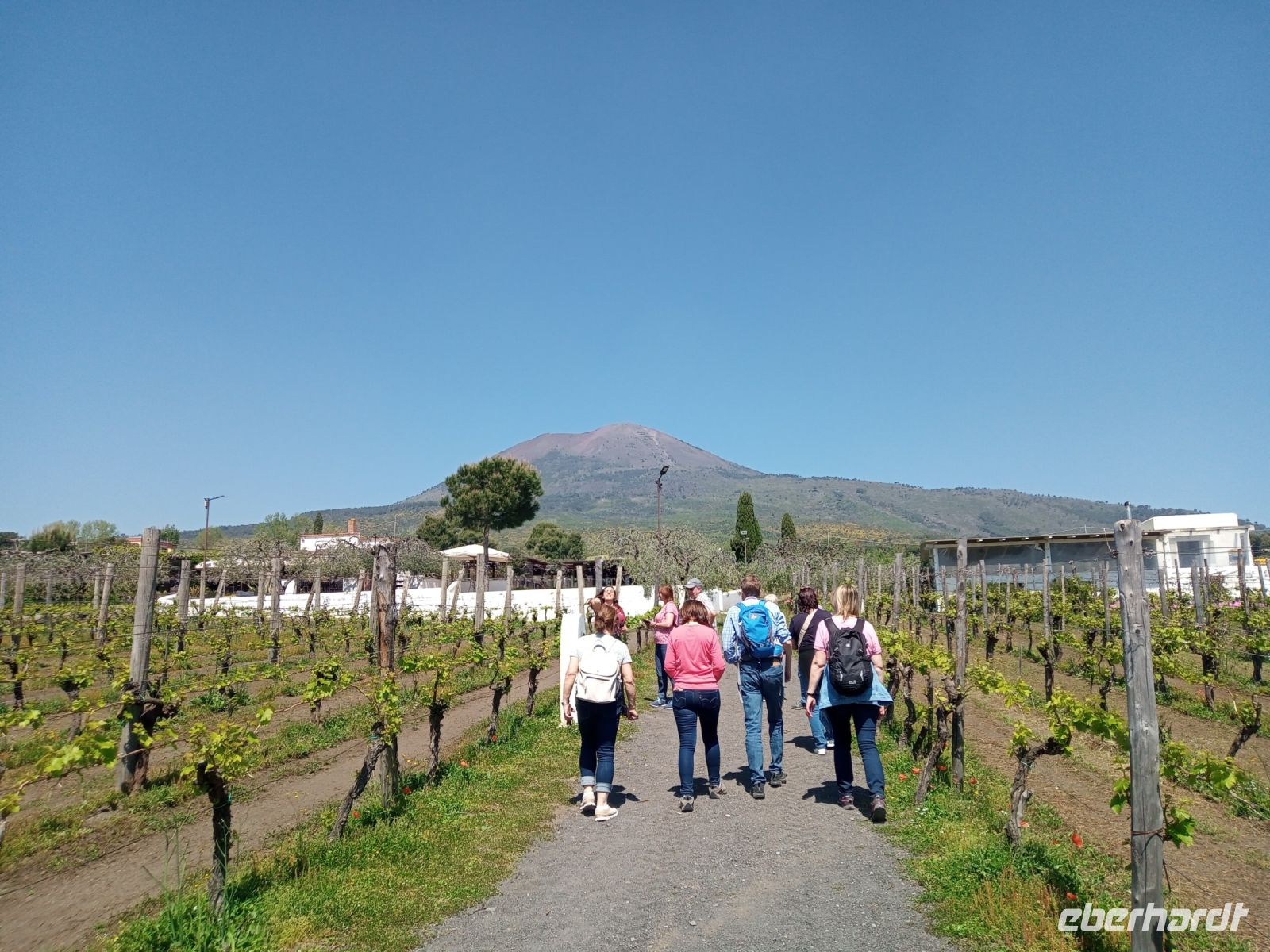 Cantina del Vesuvio