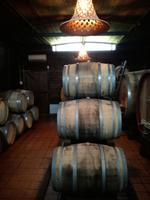 Cantina del Vesuvio