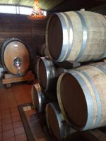 Cantina del Vesuvio