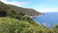 Cap Corse (Genuesischer Wachturm an der Ostküste)