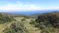 Cap Corse (Insel Giraglia)