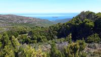 Cap Corse