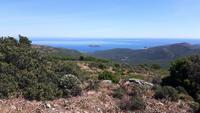 Cap Corse