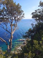 Cap Corse