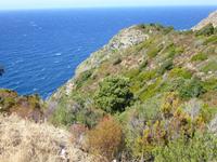 Cape Corse Küste