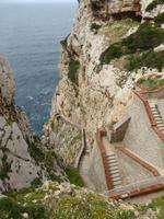 Capo Caccia - Rehleiter zur Neptunsgrotte