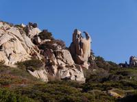 Capo Testa (Falke)