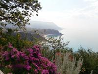 Capo Vaticano