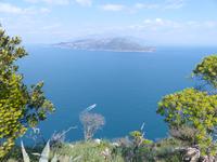 Capri 13