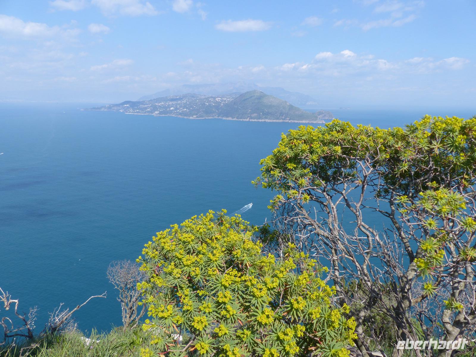 Capri 15
