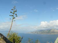 Capri 16