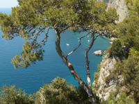 Capri 7