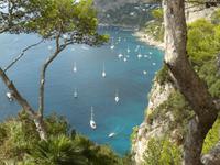 Capri 8