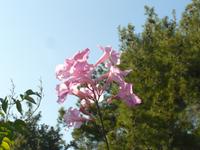 Capri im Oktober 15