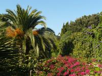 Capri im Oktober 17