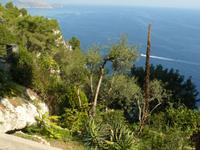 Capri im Oktober 9