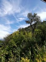 Capri