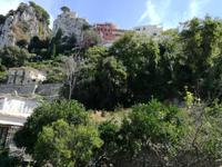 Capri