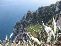 Capri