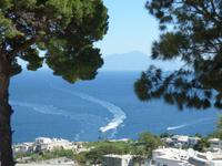 Capri