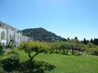 Capri