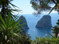 Capri