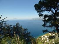 Capri