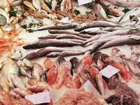 Catania Fischmarkt