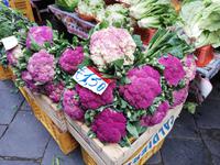 Catania Fischmarkt
