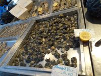 Catania Fischmarkt