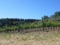 Chianti-Weinstrasse