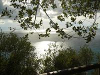 Cinque Terre 6