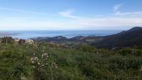 Col de Teghime (Blick in den Golf von Saint-Florent)