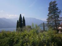 Comersee