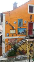 Corte
