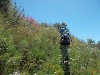 DSCN2734  Wanderung