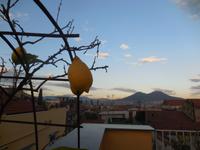 DSCN8529
